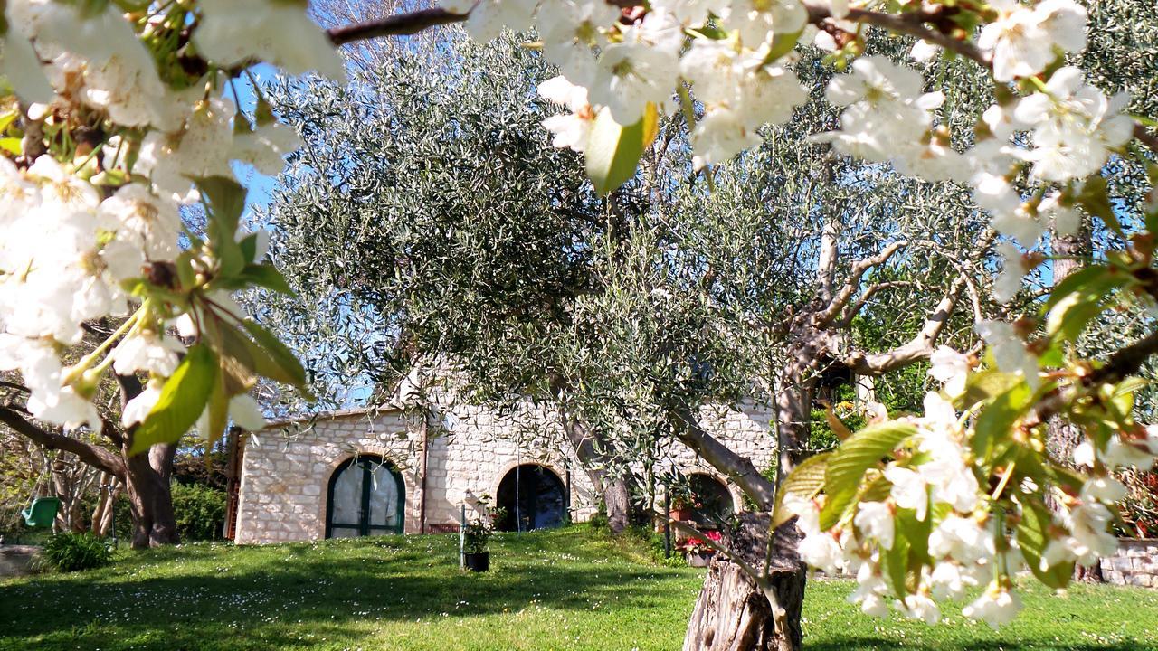 Campo Del Mare Bed & Breakfast Сироло Екстериор снимка