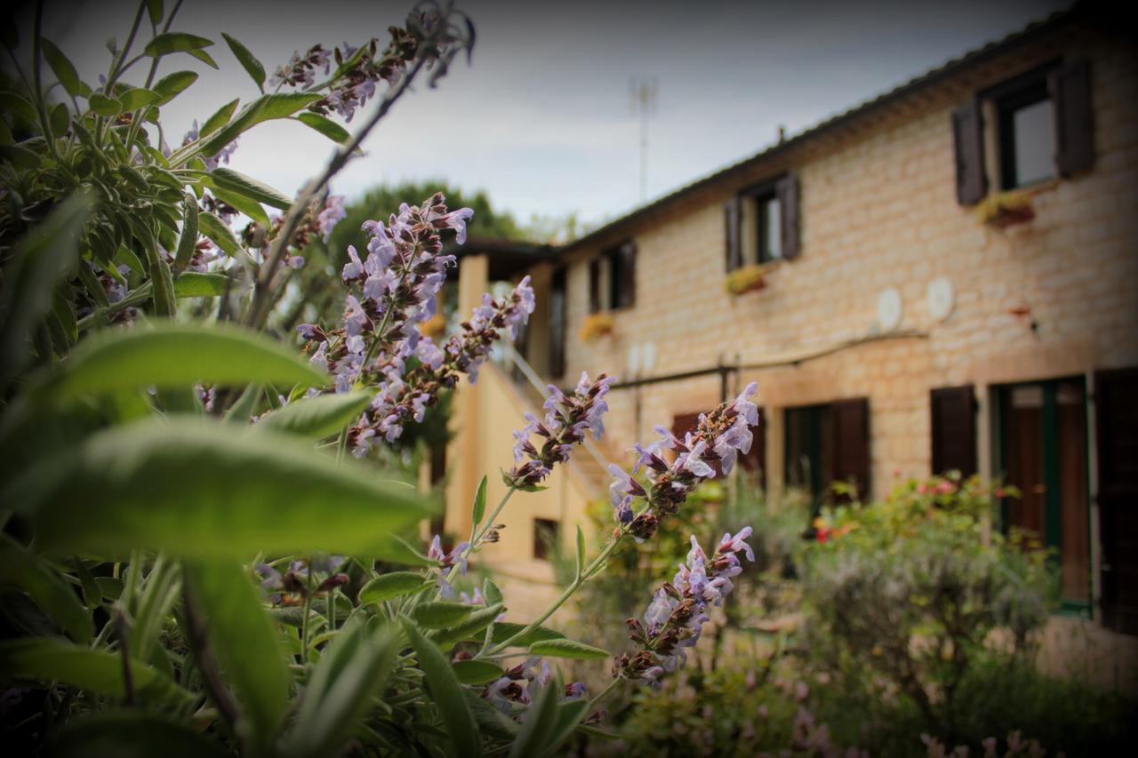 Campo Del Mare Bed & Breakfast Сироло Екстериор снимка